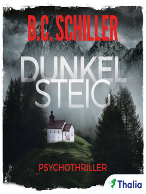 cover image of Dunkelsteig (Bd. 1)